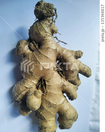 Fresh ginger root pile healthy spice ingredient Fresh ginger root pile healthy spice ingredient 135368817