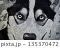 Close up of an embroidered husky dog portrait, showcasing detailed needlework and expressive eyes, perfect for animal lovers and textile art enthusiasts 135370472