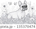 Detailed line art illustration of a French bulldog sitting in a field of flowers, with butterflies fluttering above 135370474