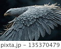 Close up of a majestic eagle with outstretched wings, showcasing its powerful presence and intricate feather details during a graceful flight 135370479