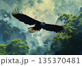 Powerful bird of prey flying over a misty forest, displaying its wingspan and freedom in nature 135370481