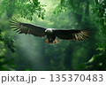 Majestic bald eagle with outstretched wings soars through a vibrant green forest, showcasing its power and grace in its natural habitat 135370483
