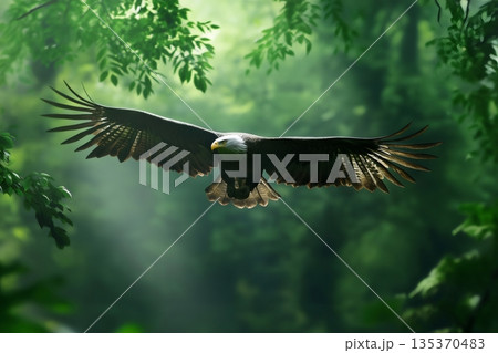 Majestic bald eagle with outstretched wings soars through a vibrant green forest, showcasing its power and grace in its natural habitat 135370483