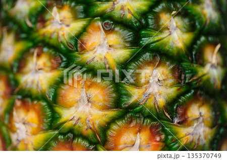 Closeup of pineapple skin texture Closeup of pineapple skin texture 135370749
