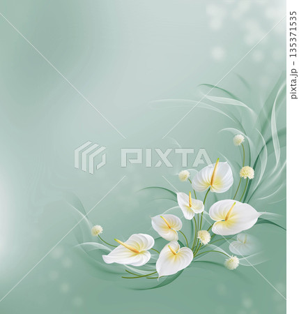 Collection Of Diverse Soft Colored Floral And Decorative Pattern Designs 135371535