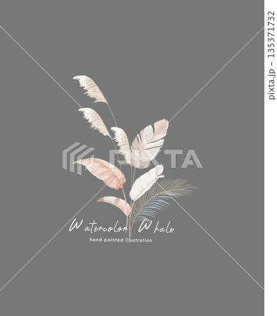 Collection Of Diverse Soft Colored Floral And Decorative Pattern Designs Collection Of Diverse Soft Colored Floral And Decorative Pattern Designs 135371732