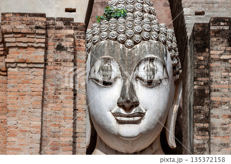 Big Buddha statue at Wat Si Chum temple in Sukhothai historical park Sukhothai, Thailand 135372158