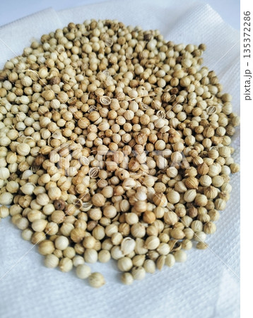 Dried coriander seeds isolated on white background Dried coriander seeds isolated on white background 135372286