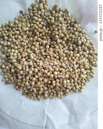 Dried coriander seeds isolated on white background 135372287