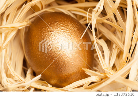 Golden egg placed in straw nest adds interest for Easter decorations and celebrations 135372510