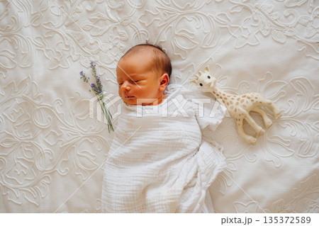 Newborn baby sleeps on blanket with toys and flowers 135372589
