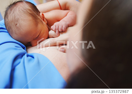 Newborn baby breastfeeding with mother in a cozy setting Newborn baby breastfeeding with mother in a cozy setting 135372987