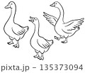 Elegant goose line art set for tattoos, logos, prints, and minimalist designs. Ideal for designers, artists, and crafters 135373094