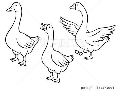 Elegant goose line art set for tattoos, logos, prints, and minimalist designs. Ideal for designers, artists, and crafters Elegant goose line art set for tattoos, logos, prints, and minimalist designs. Ideal for designers, artists, and crafters 135373094