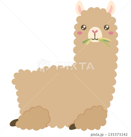 Alpaca Alpaca 135373142