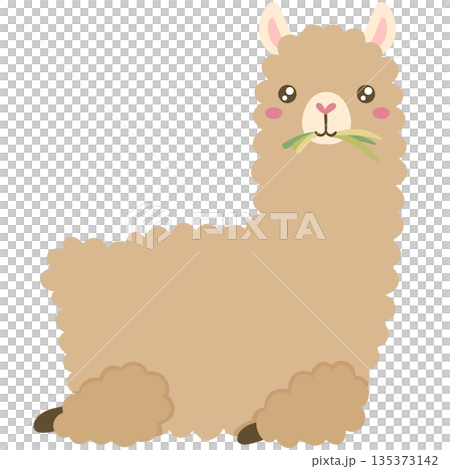 Alpaca Alpaca 135373142