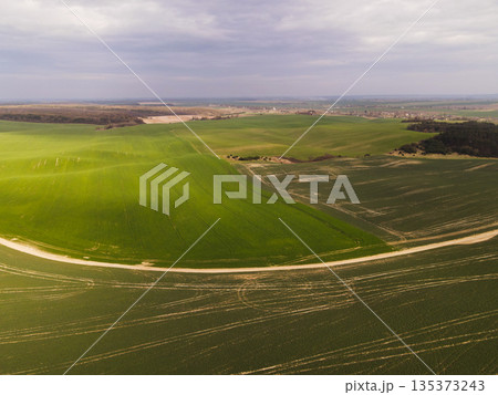 Drone view of curved green agricultural fields and rural road, spring farmland landscape with soft natural light 135373243