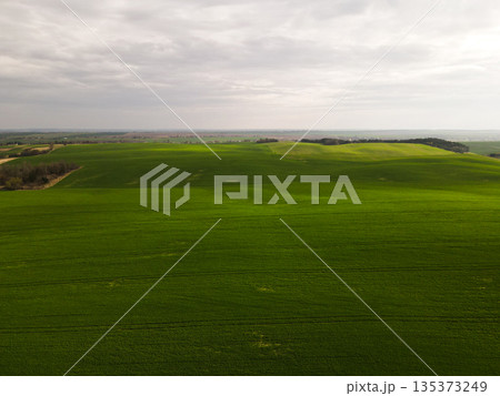 Aerial view of expansive green farmland with rolling hills and distant forest, rural landscape and agriculture background Aerial view of expansive green farmland with rolling hills and distant forest, rural landscape and agriculture background 135373249