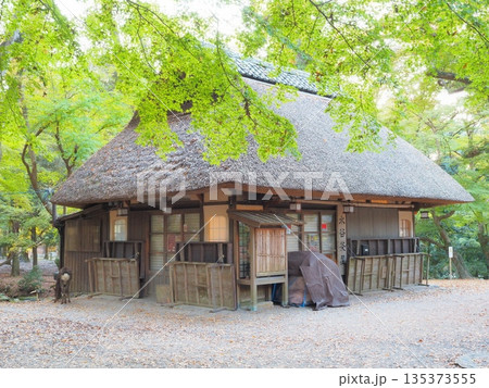 奈良県　青もみじと茅葺の平野茶屋　11月 135373555