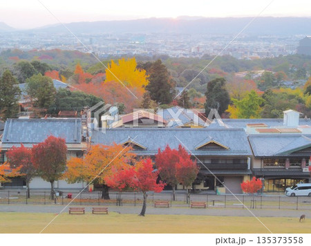 奈良県　若草山から見る景観　11月 135373558