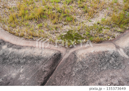 Terrain rock and grass, old water pathway from ancient Pha Taem Terrain rock and grass, old water pathway from ancient Pha Taem 135373649