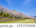 【神奈川県】水無川沿いの桜並木 135374008