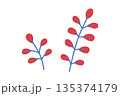 北欧テイストの柔らかな葉のボタニカルイラスト　赤 135374179