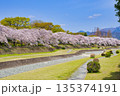 【神奈川県】水無川沿いの桜並木 135374191