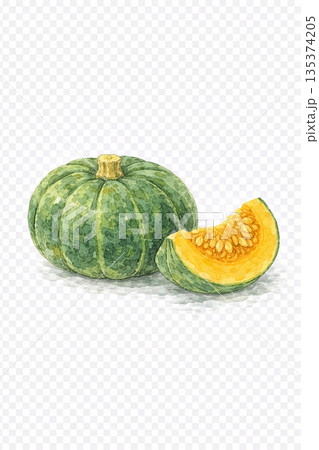 冬野菜のかぼちゃ 水彩画風イラスト素材（背景透過） 135374205