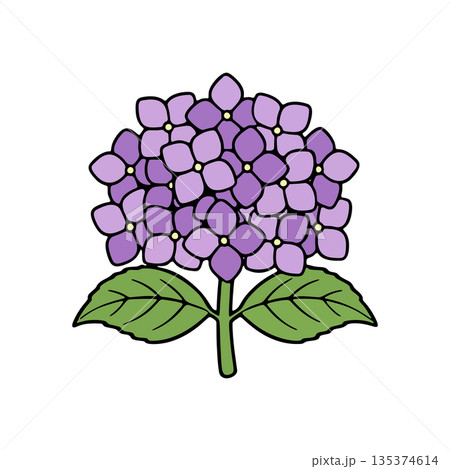 シンプルな紫の紫陽花のカラーアイコン 135374614