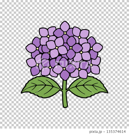 シンプルな紫の紫陽花のカラーアイコン 135374614