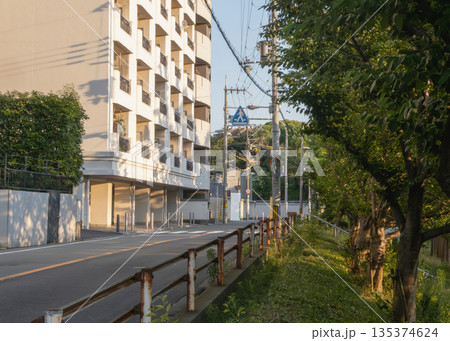 夕方の街路、マンションと木々の間を走る道路 夕方の街路、マンションと木々の間を走る道路 135374624