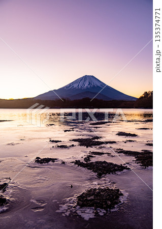 （山梨県）精進湖から望む富士山　日の出前 135374771