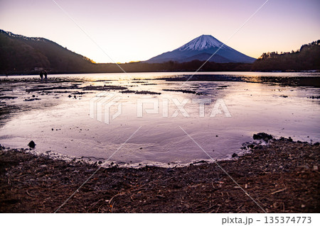 (山梨県)精進湖から望む富士山 日の出前 (山梨県)精進湖から望む富士山 日の出前 135374773