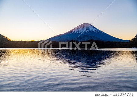 (山梨県)精進湖から望む富士山 日の出前 (山梨県)精進湖から望む富士山 日の出前 135374775