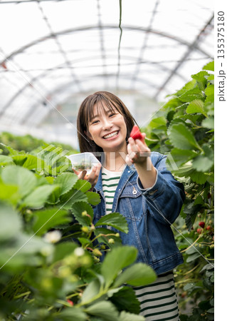 笑顔でいちごを持つ女性 笑顔でいちごを持つ女性 135375180