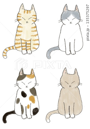 色々な柄の猫のイラストセット 135375297