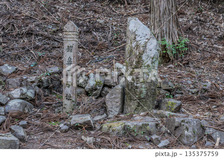 熊野参詣道中辺路 135375759