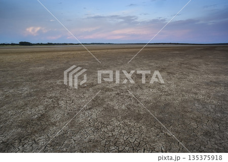 Cracked earth, desertification process, La Pampa Province, Patagonia, Argentina. 135375918