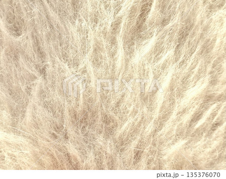 fluffy beige fibers macro texture arrow pointing single strand delicate natural closeup soft ethereal material for wallpaper design background 135376070
