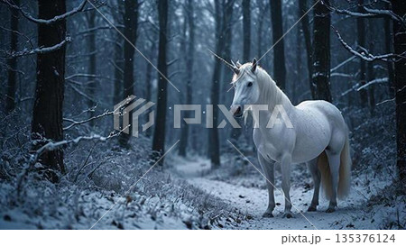 ユニコーン ユニコーン 135376124