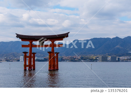 海上に立つ大鳥居、厳島神社 135376201