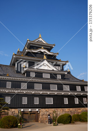晴天のもと岡山城 晴天のもと岡山城 135376206