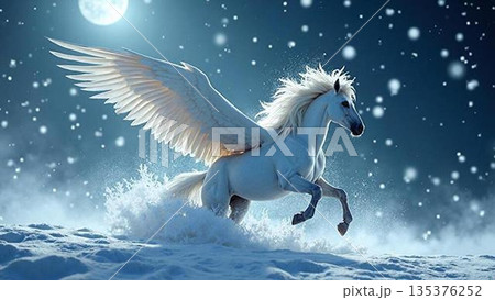 ペガサス 135376252