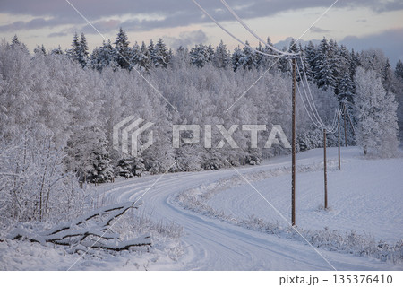 Peaceful Winter Road Through Snowy Forest in Latvia 135376410
