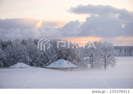 Snowy Farm Buildings in Winter Countryside Latvia 135376411