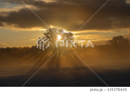 Sun Rays Breaking Through Clouds In Winter Landscape Sun Rays Breaking Through Clouds In Winter Landscape 135376420