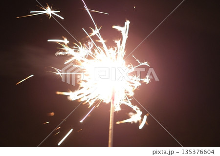 弾ける線香花火④ 135376604