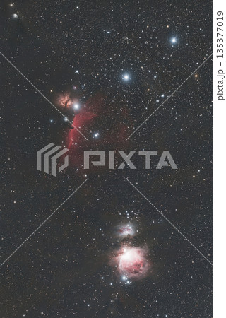 オリオン座の三ツ星附近 2026 135377019