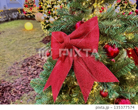New Year's trees decorated with colorful bright red and white balls, red bows and garlands decorate the territory of the Sklifosovsky Research Institute. New Year's trees decorated with colorful bright red and white balls, red bows and garlands decorate the territory of the Sklifosovsky Research Institute. 135377574